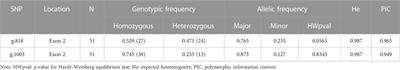 Exploring the influence of DNA methylation and single nucleotide polymorphisms of the Myostatin gene on growth traits in the hybrid grouper (Epinephelus fuscoguttatus (female) × Epinephelus polyphekadion (male))